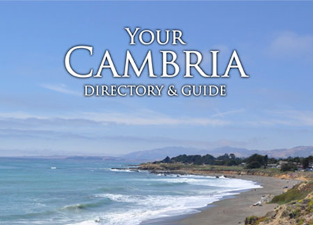Businesses: Reach new customers in Cambria